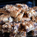 Magic Cookie Bars Magic Cookie Bars