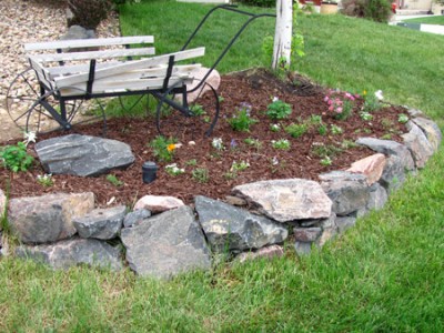 new plants in the garden