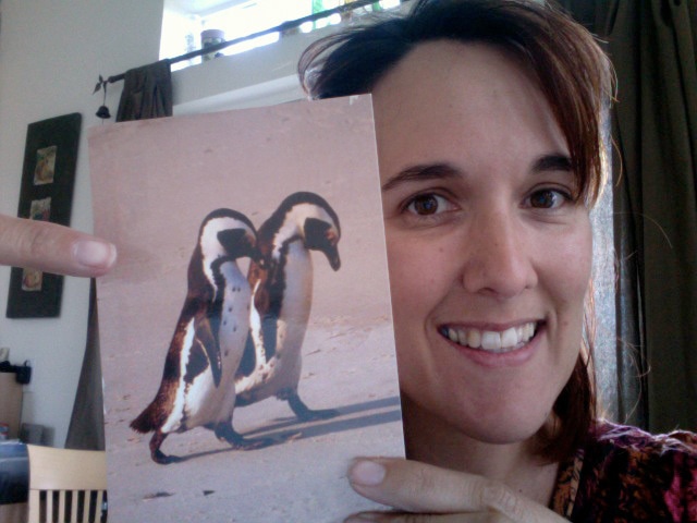 Penguin Postcard from Trisha Lyn