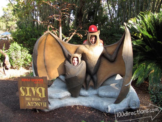 San Diego Zoo Safari Park bats coming soon!