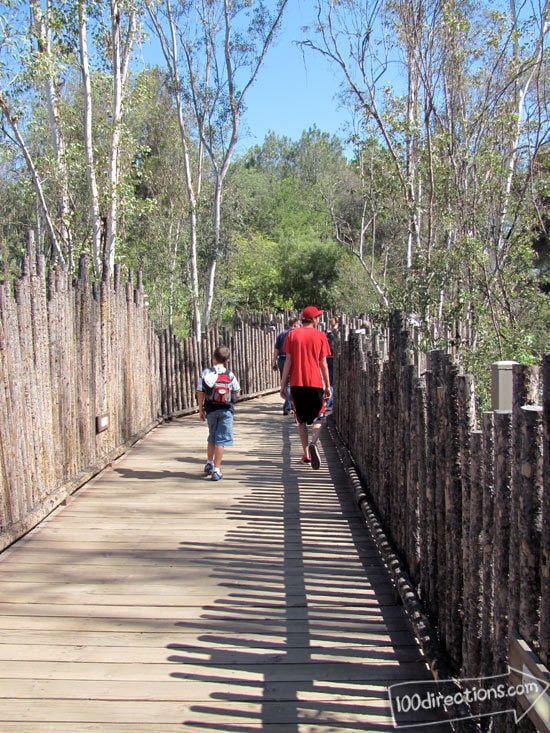 San Diego Zoo Safari Park walking bridge toward tigers and condors