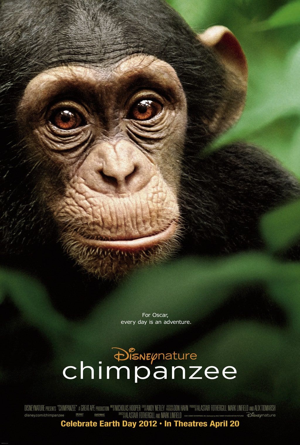 chimpanzee movie chimpanzee movie