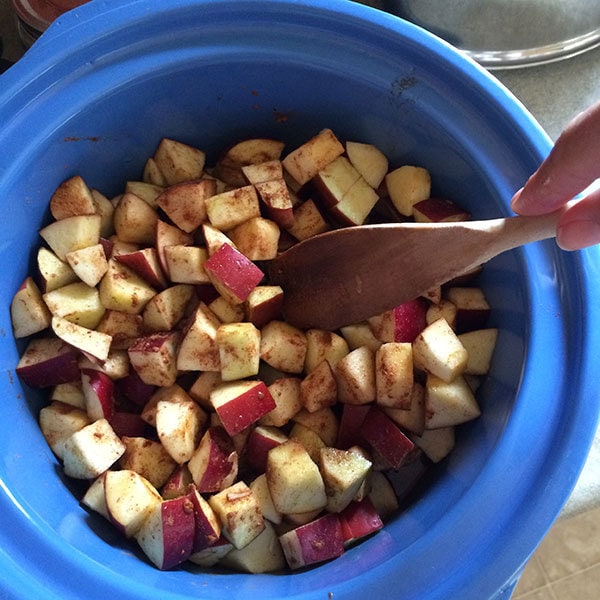 Apples ready to make Apple Butter in the Crock Pot