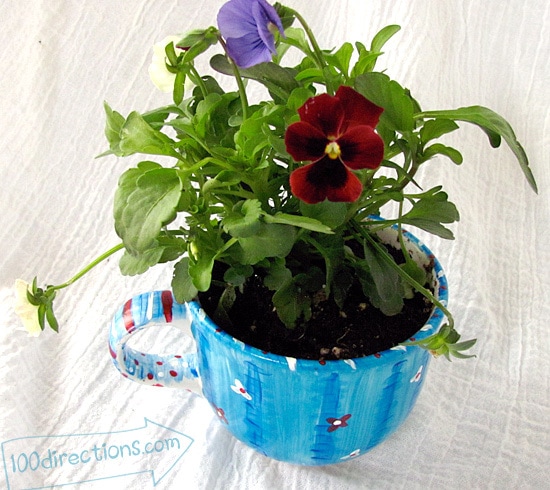 hand painted tea cup flower pot with patriotic pansies