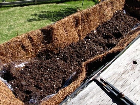 fill planter with dirt