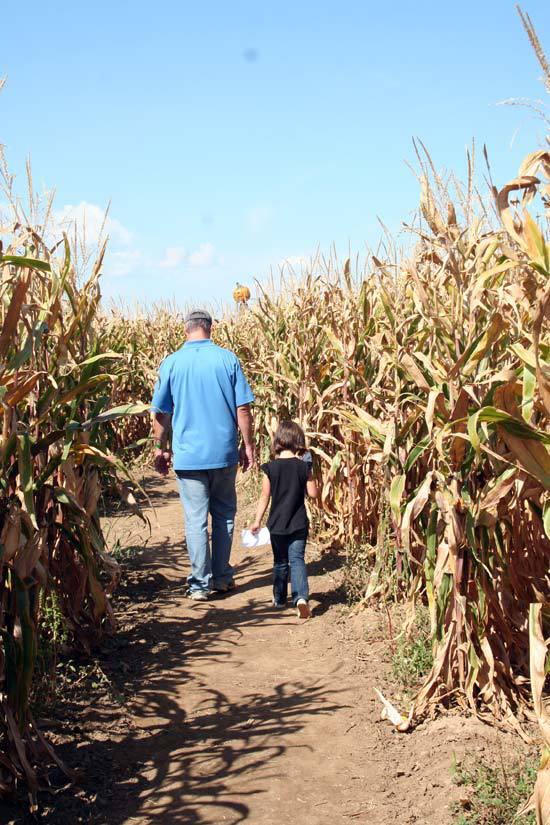 We went into the tiny maze because we wanted to go pick a pumpkin