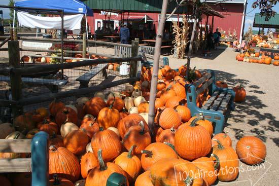 We saw more pumpkins