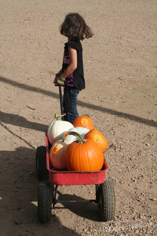 Then we packed up our own pumpkins to take home