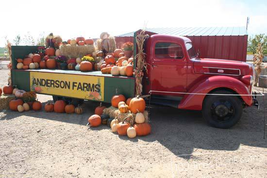 We saw more pumpkins