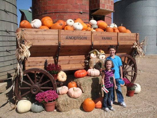 We took some pictures by more pumpkins