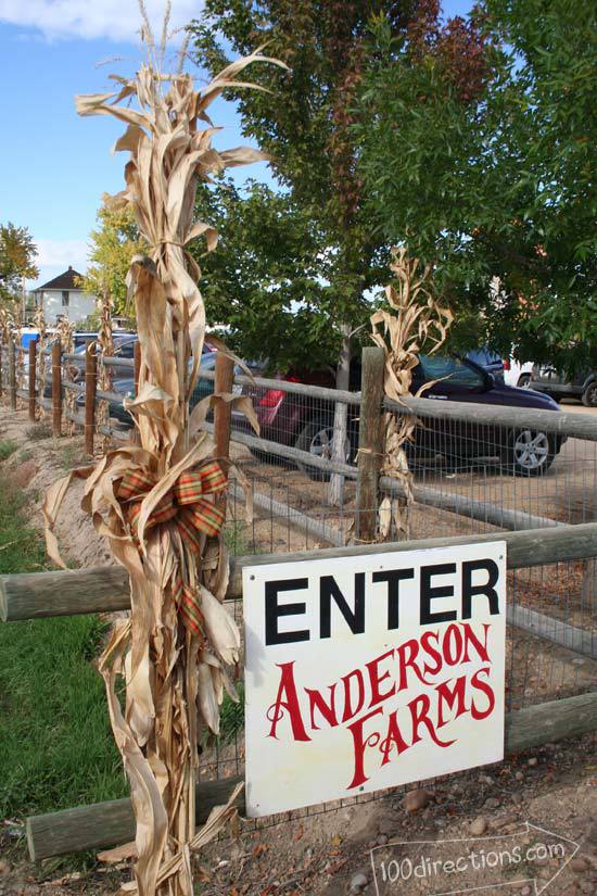 Welcome to Anderson Farms