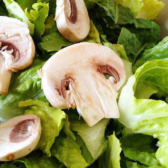Mushroom close up on salad
