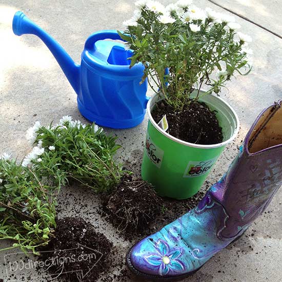 Gift Idea: Plant a flower in a decorated cowboy boot