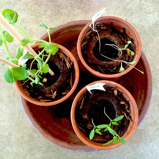 Gro-ables happily growing
