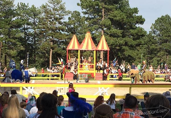 Watch a jousting competition at the Colorado Renaissance Festival