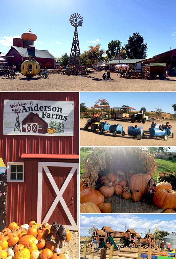 Visiting Anderson Farms in Erie, Colorado