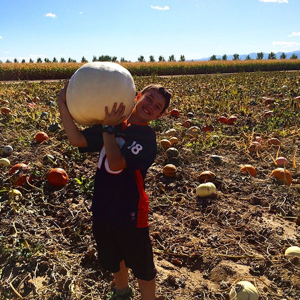 Hunting for pumpkins