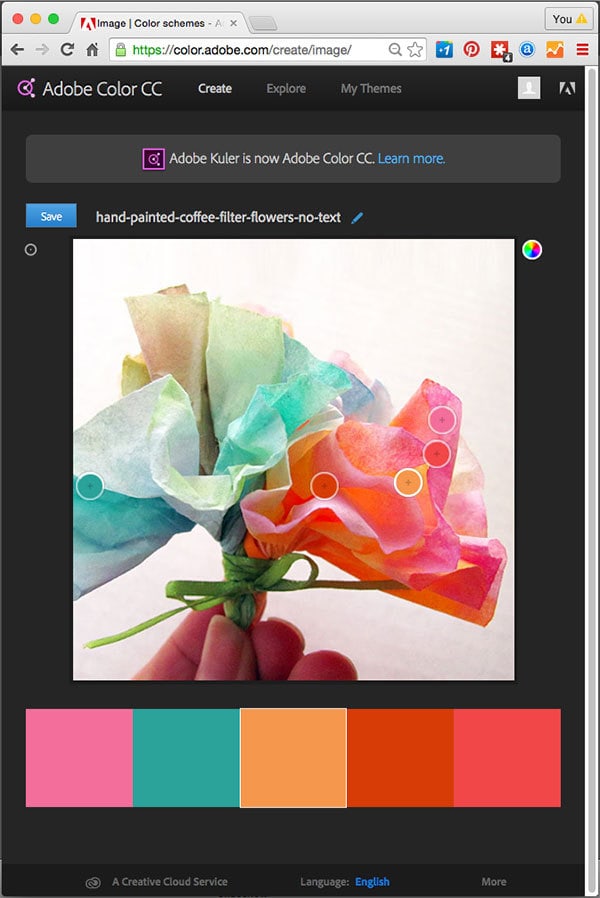 Create a color palette from a photo