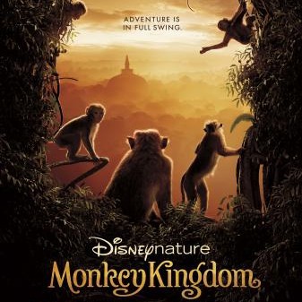 Monkey Kingdom