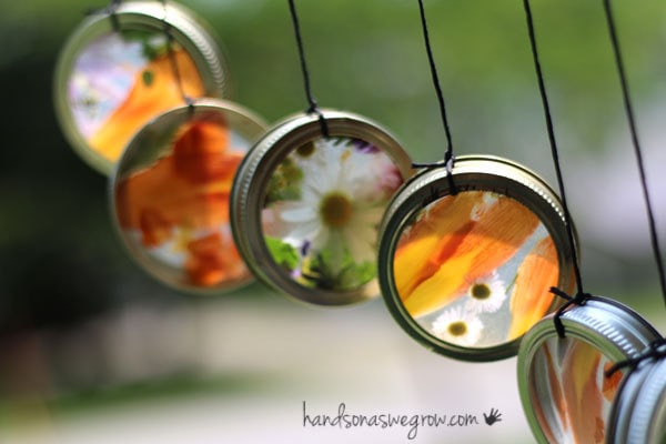 Nature suncatcher wind chime