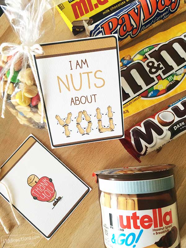 We Are Nuts About You Gift Idea - DIY Inspired