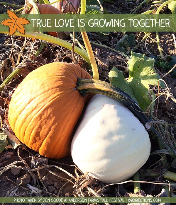 Pumpkin Hug - True Love is Growing Together - Jen Goode 100Directions.com