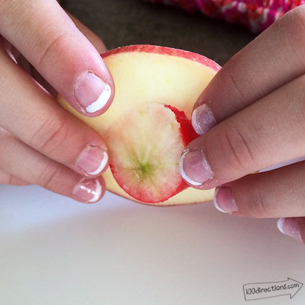 Cut a circle out of the center of the apple slice