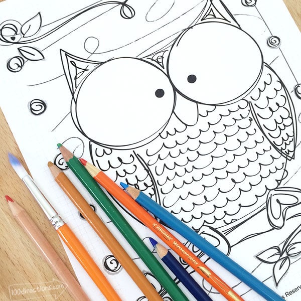 Color your own Owl Coloring Pages