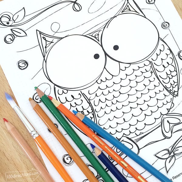 free printable adult coloring pages owl