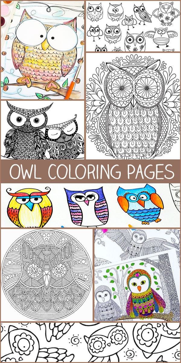 free printable adult coloring pages owl