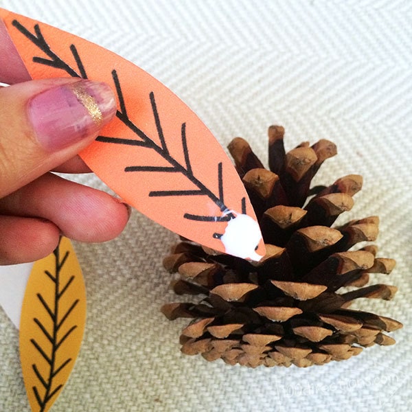Glue Feathers to pinecone