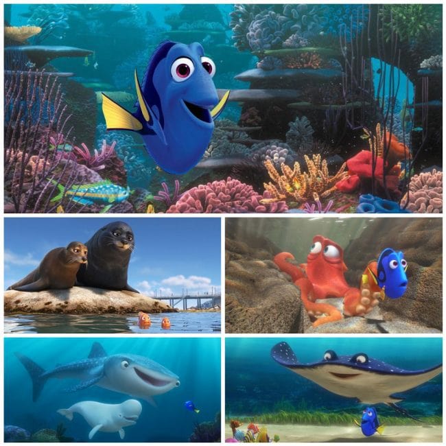 Finding Dory Movie collage