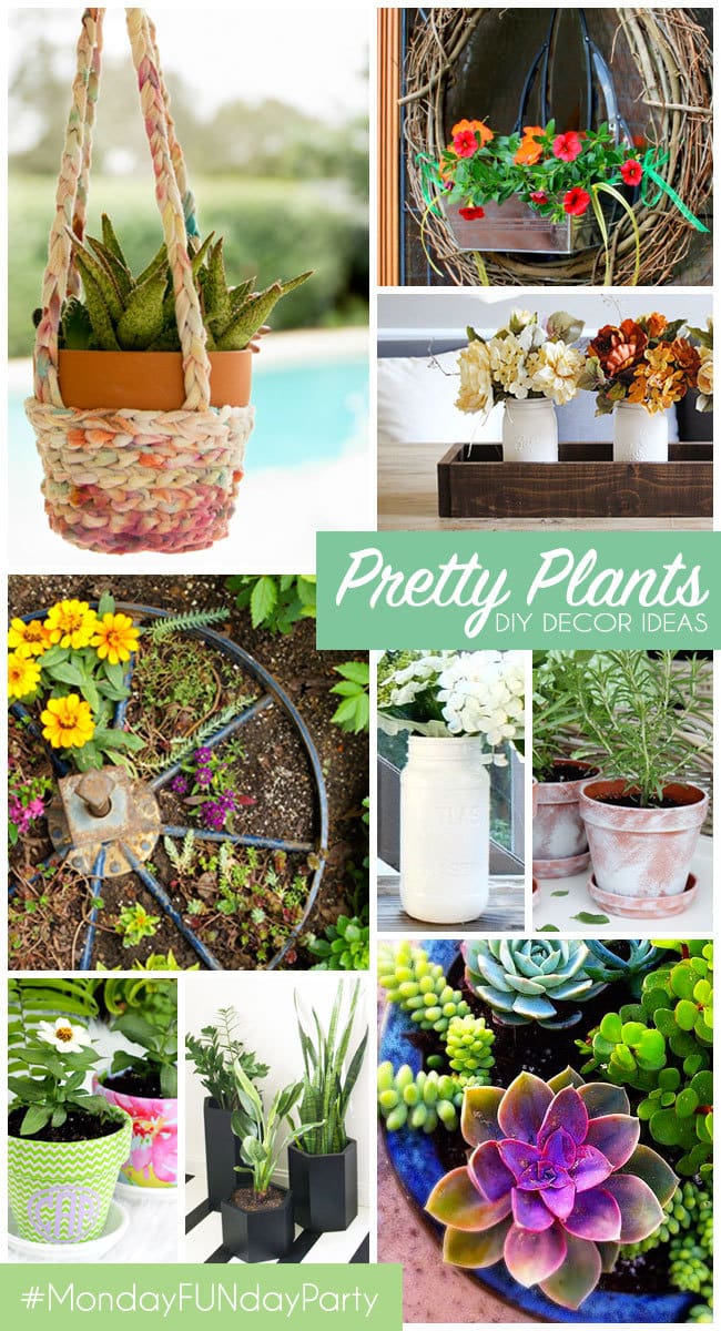 Pretty Plants - DIY decor Ideas