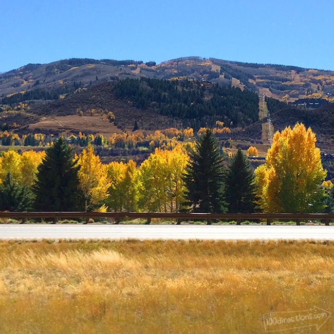 Fall colors in Colorado