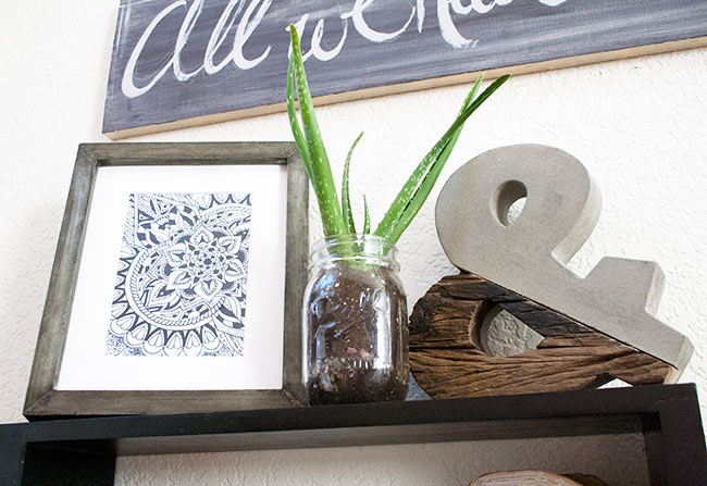 Add live plants to your gallery wall