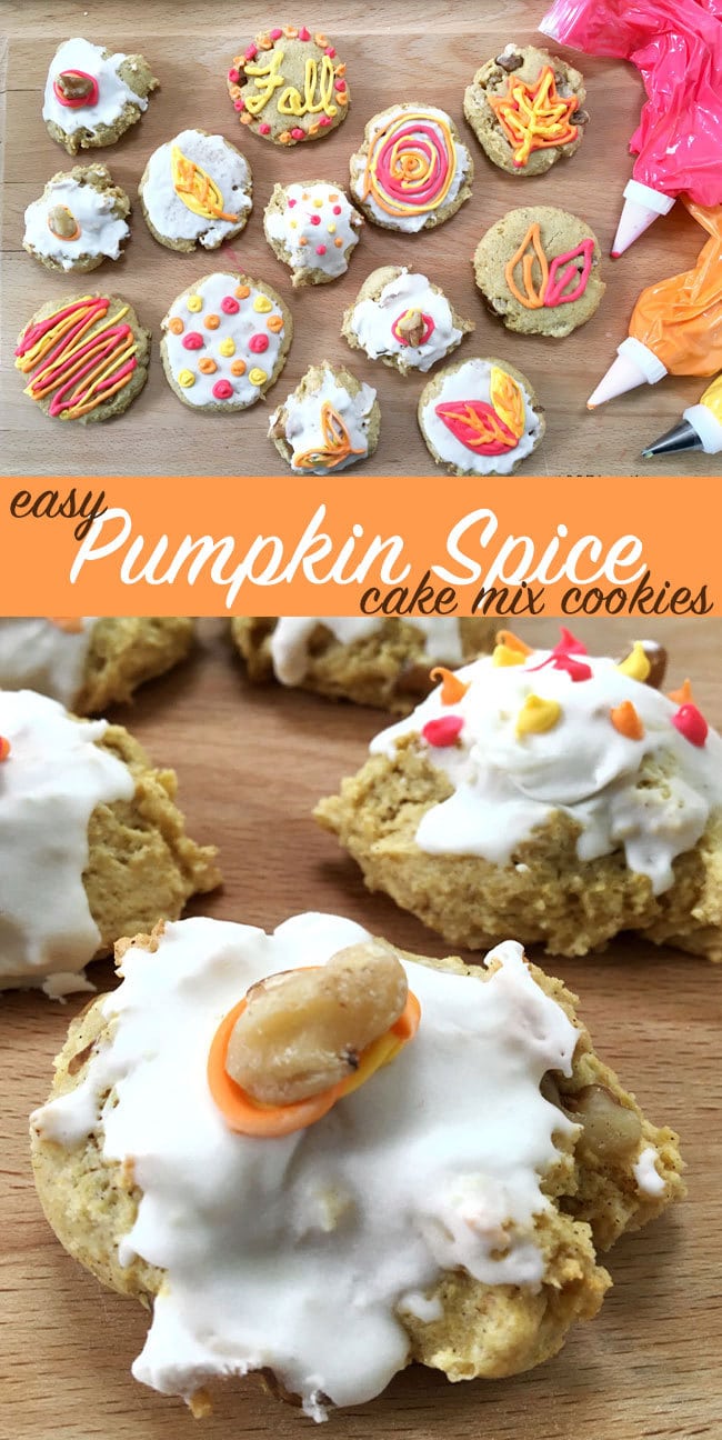 Easy Pumpkin Spice Cookies