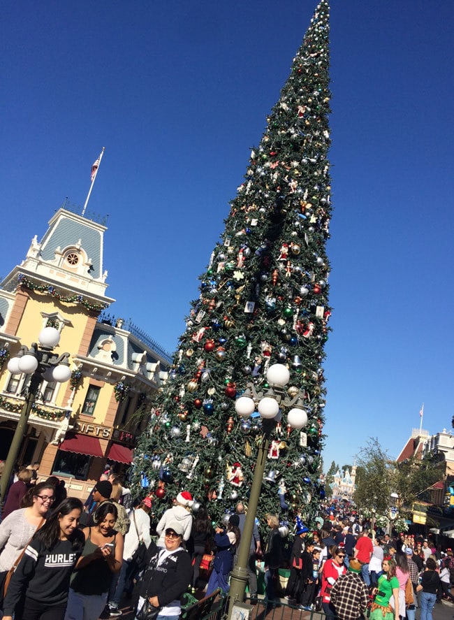 Giant Christmas Tree at Disneyland at Christmastime