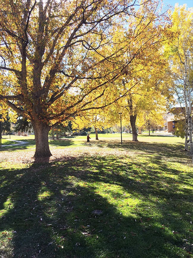 Gorgeous campus at JWU Denver