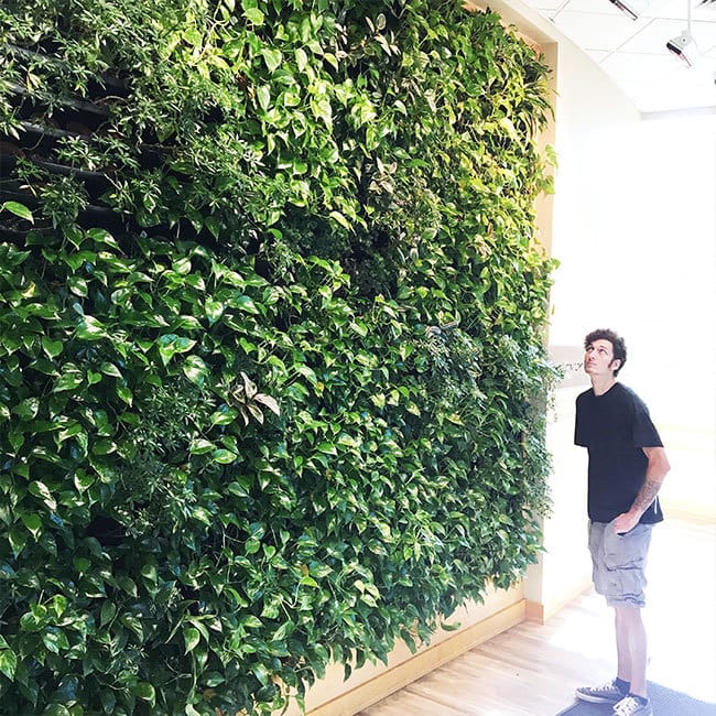 Living wall inside one of the buildings at JWU Denver