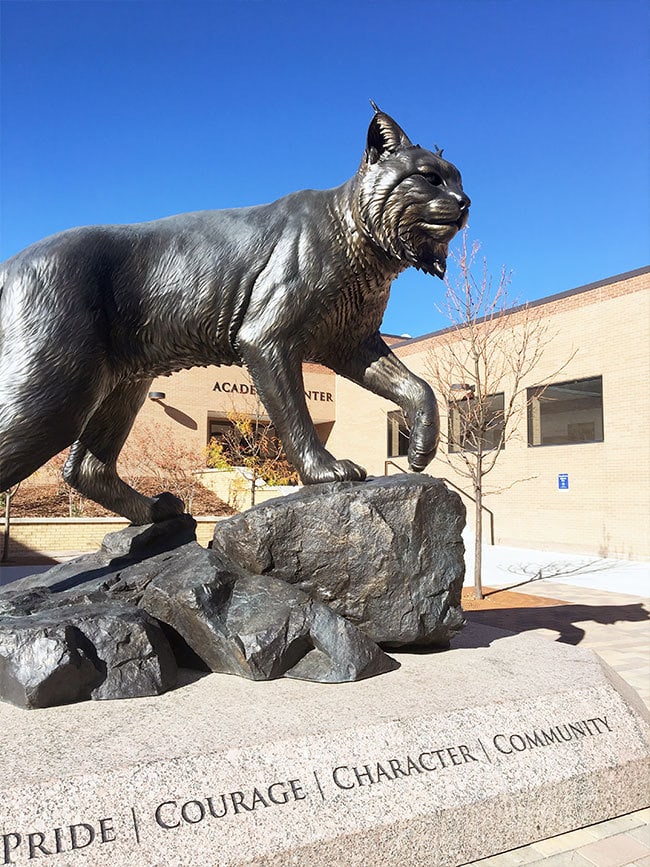 JWU Wildcat in Denver