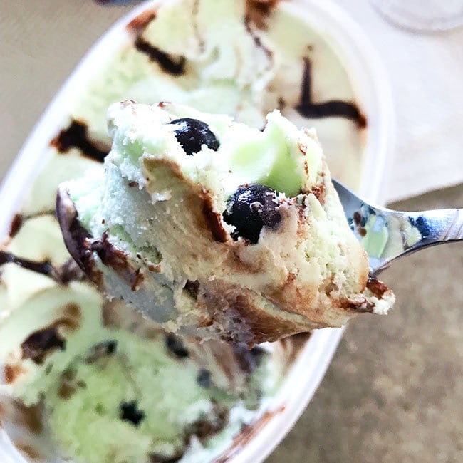 Scoop ice cream into the blender