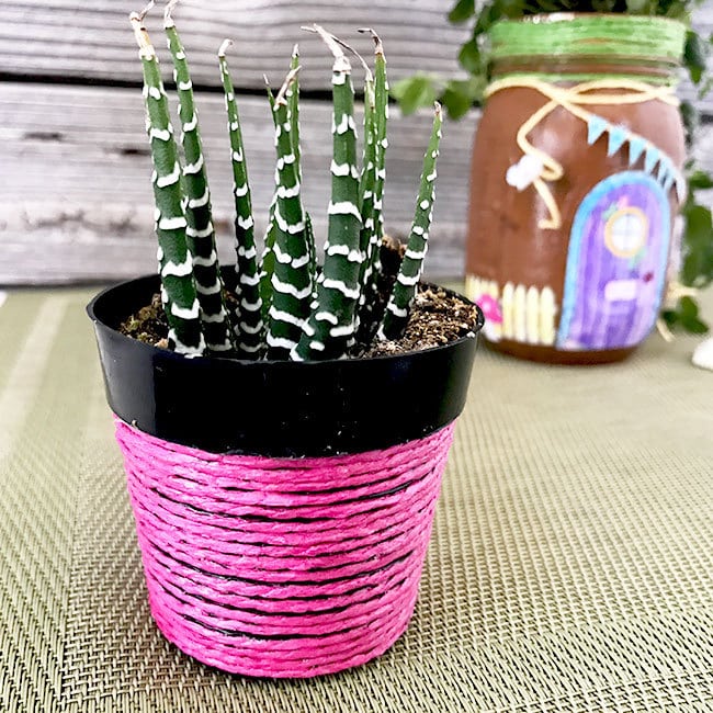 Mini twine wrapped plant pot 