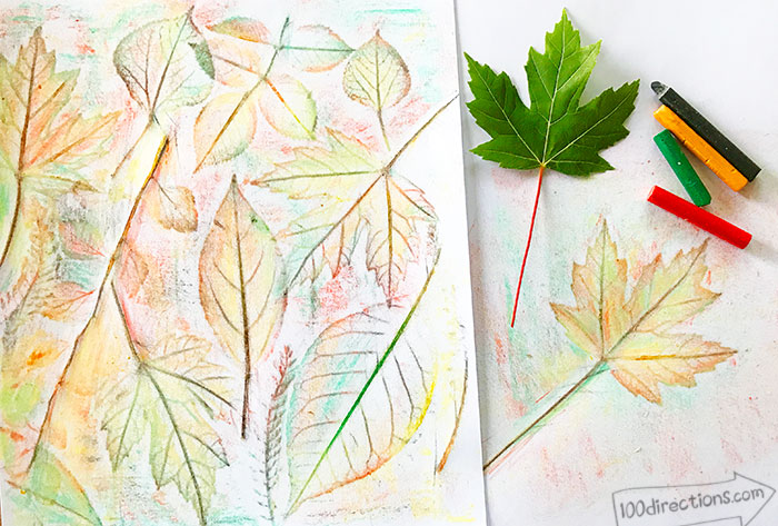 Make all kinds of pretty leaf rubbing art