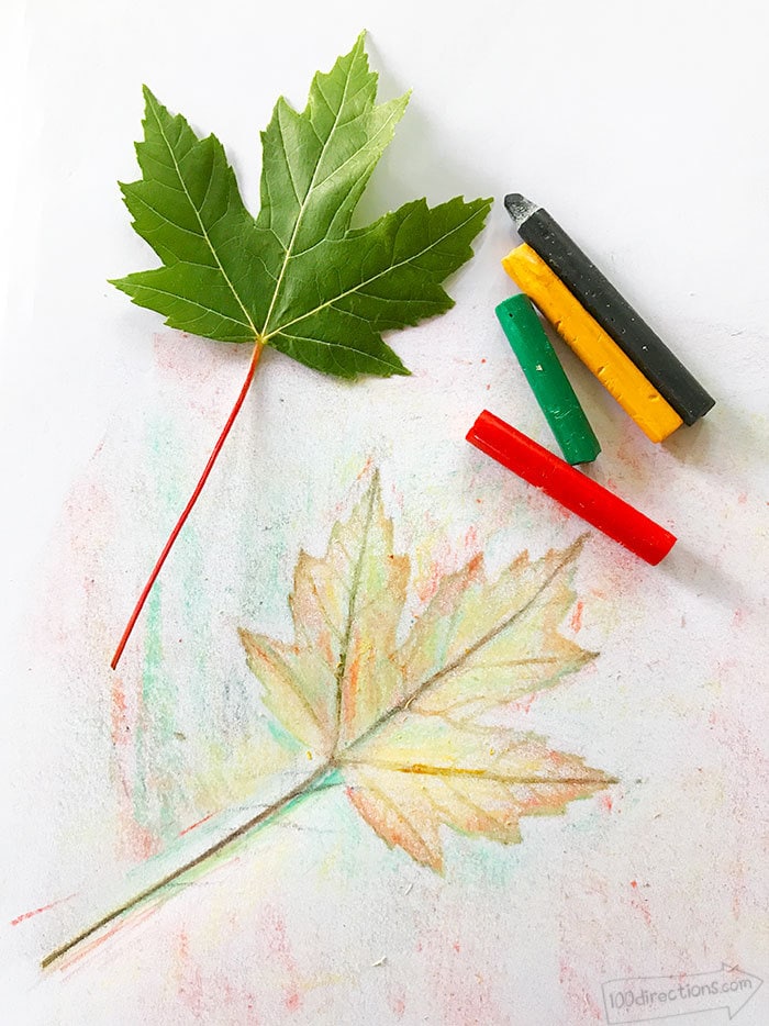 How To: Make your own leaf rubbing art