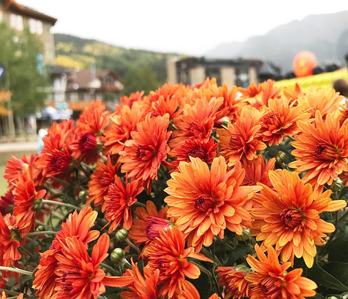 Fall in Copper Mountain