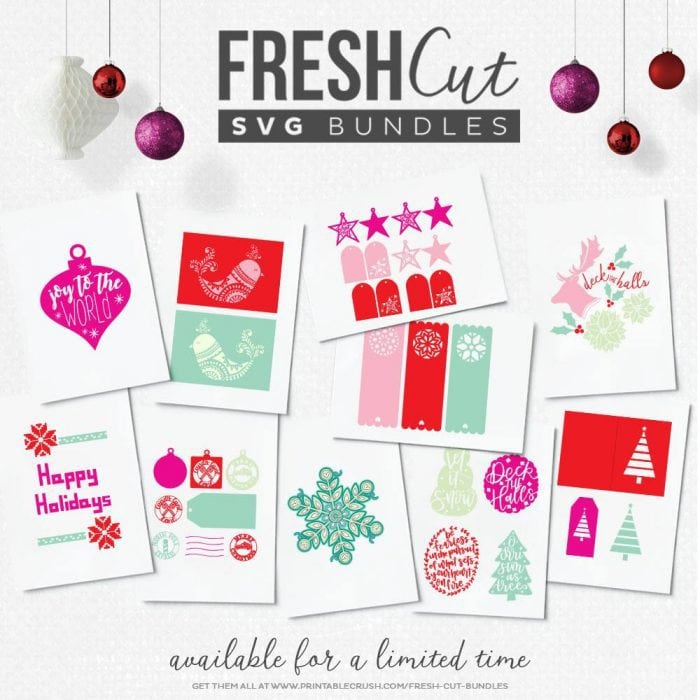 Fresh Cut SVG Bundle for November 2017