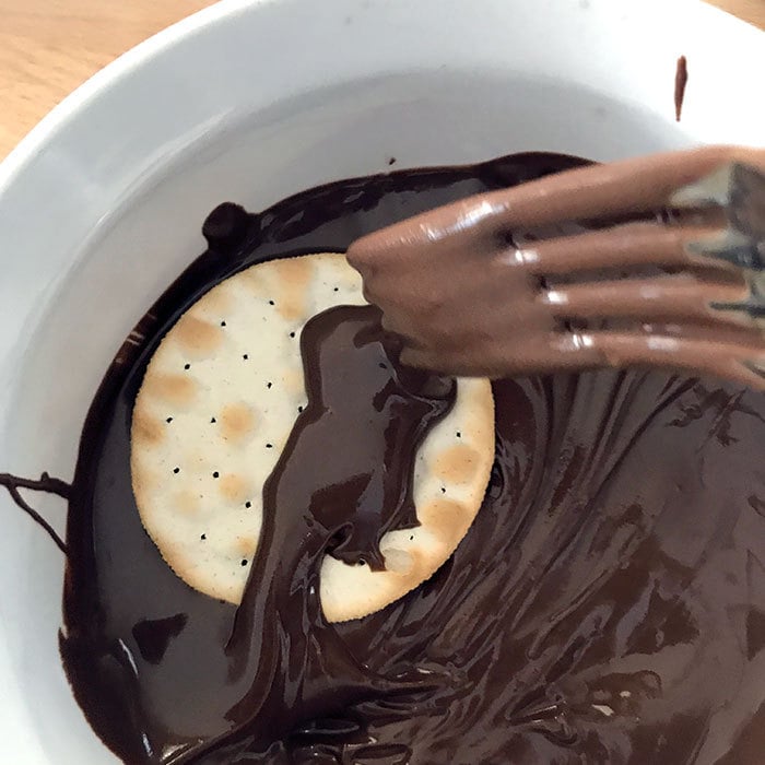 Water Crackers and Chocolate coating
