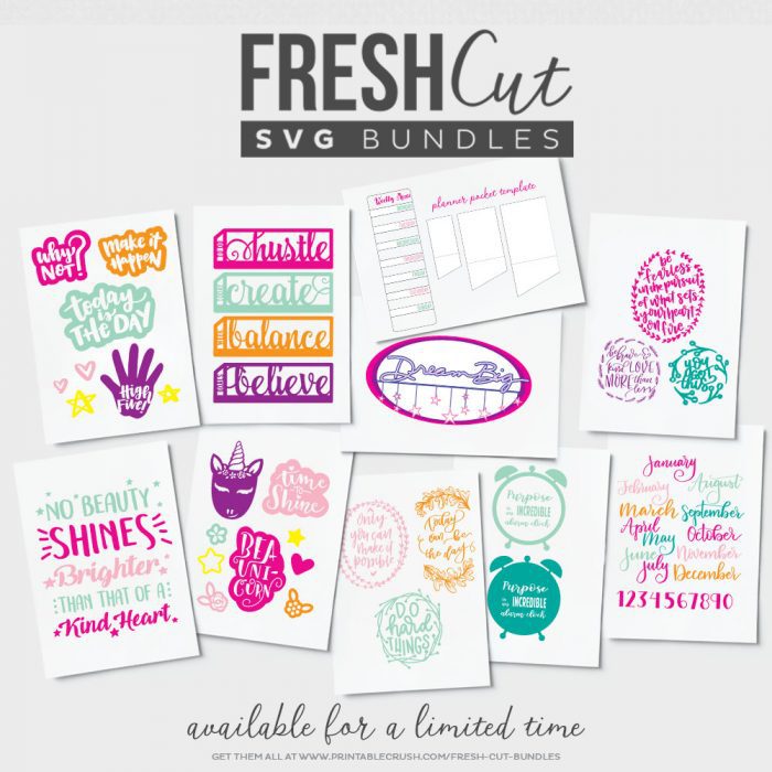 Fresh Cuts SVG Bundle - New Year New You