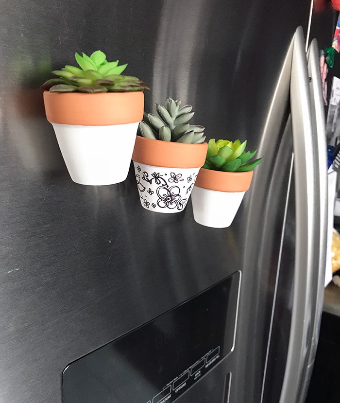 Mini planter magnets for the fridge