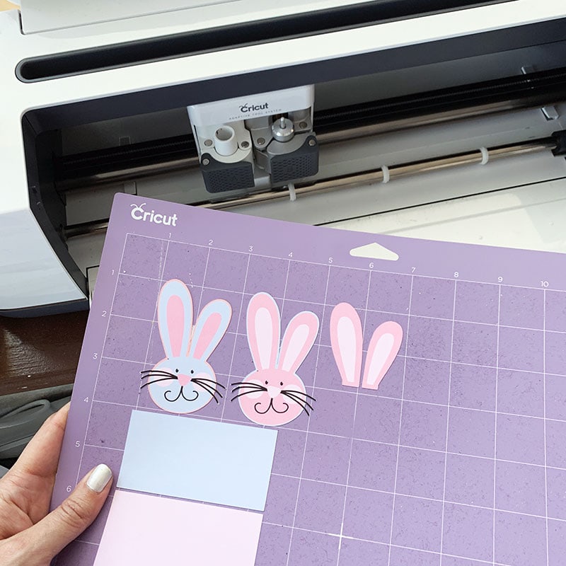 Easter bunny cake pop ears - print and cut with Cricut - free SVG from Jen Goode